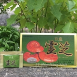 nam-linh-chi-do-nissan-reishi