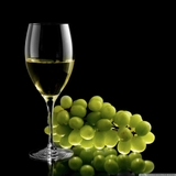 Giỏ Italian Wine Tasting