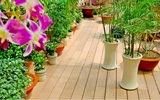 Những cách bảo vệ sàn gỗ ngoài trời hiệu quả nhất
