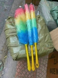 Chổi ông già