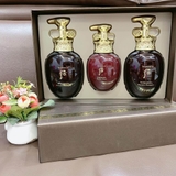 Set gội xả whoo đông y Hoàng Cung