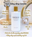 Kem Chống Nắng Skin1004 Madagascar Centella Air-Fit Suncream SPF50+ PA++++ – 50ml
