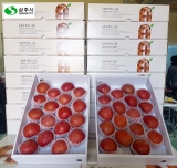 Táo Sangju Hàn Quốc (Hộp 5kg)