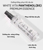 Tinh Chất Dưỡng Trắng Bergamo White Vita Panthenol Premium 120ml