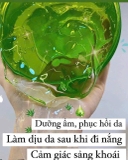 Gel Lô Hội Aloe Vera 99% 300ml