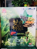 Nước Mát Gan Đông Trùng Hạ Thảo Nghệ Vàng TW FOOD 70ml x 30 Gói