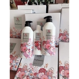 SET DẦU GỘI KERASY NƯỚC HOA HÀN QUỐC