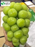 Nho sữa Sangju Hàn Quốc (Thùng 4 chùm - 3,2kg)