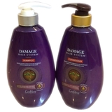 Bộ Dầu Gội + Xả Leeblese Damage Hair System