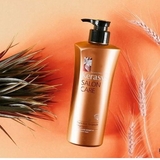Dầu Gội Kerasys Salon care Nutritive Ampoule