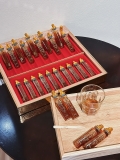 Tinh Chất Sâm Núi Dodampos CM 110 Năm Tuổi (20 ống*20ml)