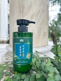 Dầu Xả Đông Trùng Hạ Thảo Diếp Cá Nature Beauty Heartleaf & Cordyceps Rinse (500ml)