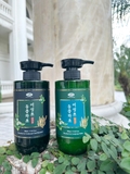 Dầu Xả Đông Trùng Hạ Thảo Diếp Cá Nature Beauty Heartleaf & Cordyceps Rinse (500ml)