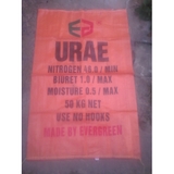 Bao Ure Ever Green