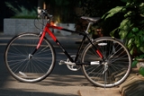 crossbike Fortina FT7007 - Xe đạp thể thao đường phố Nhật Bản