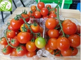 Cà chua nho Nhật (500g)