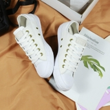 Converse thấp cổ vải trắng