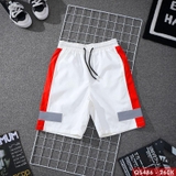 sale-tai-web-50-quan-short-lung-nam-vai-du-day-dan-qs486