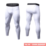 sale-tai-web-40-quan-legging-nam-ql36