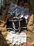 sale-tai-web-quan-lot-boxer-thun-cotton-cao-cap-qx446