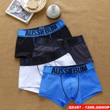 sale-tai-web-quan-boxer-thun-cotton-lung-bong-qx497