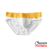 quan-lot-tam-giac-nam-thun-cotton-co-gian-tham-hut-tot-qb0298