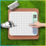 Trò chơi bảng thông minh 14 trong 1