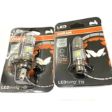 Bóng Pha LED Osram Dream
