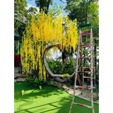 Combo 12 cành hoa tử đằng giả dài 110cm - Vàng
