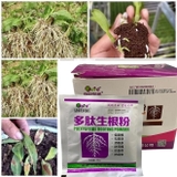 Siêu Kích Rễ Nội Địa Trung - Polypeptide Rooting Powde - Gói 30Gr