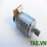 Động Cơ DC 12V