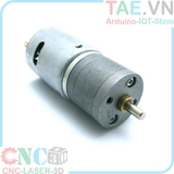 Động cơ DC 25GA370