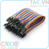 Dây nối 2 đầu Đực - Đực 20CM