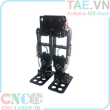 Robot Chân 6 Bậc Tự Do