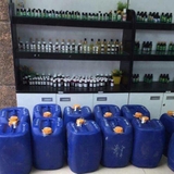 Tinh dầu Tràm Gió - Cajeput essential oil