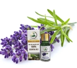 Tinh dầu Oải Hương nguyên chất Newoil Aromavn