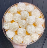 Yến viên baby nguyên chất SURI 100g