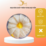 Yến tinh chế 100 gram | Suri Birds Nests