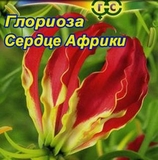 Hạt giống hoa F1 Gloriosa giống nga