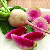 Củ cải tí hon Watermelon Radish trắng vỏ đỏ lòng