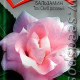 Hạt giống F1 hoa ngọc thảo kép hồng giống Nga