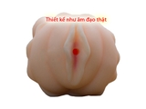 Âm đạo giả cầm tay silicon Asia Pussy Evo-AD008