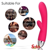 Massage điểm G cao cấp Svakom USA Lorna - DC011