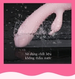 Dương vật giả cầm tay cao cấp Leten - DC038