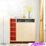 tủ giày hiện đại TG-307