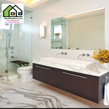 lavabo phòng tắm LVB-008