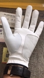 GĂNG TAY TITLEIST