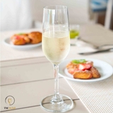 Bộ 6 ly rượu vang sủi/ champagne cao cấp 220ml