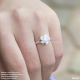 Nhẫn chong chóng gió - RW242