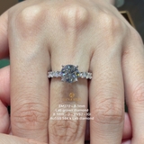 EM272 - Nhẫn cầu hôn, round cut, 8.1mm - Lucy Jewelry